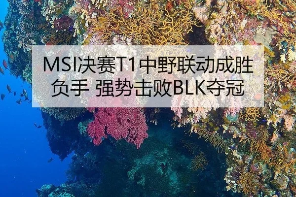 MSI决赛T1中野联动成胜负手 强势击败BLK夺冠